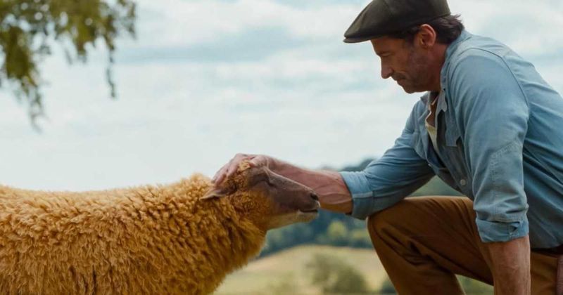 Hugh Jackman's 'The Sheep Detectives' drops new trailer as his flock investigates a murder 