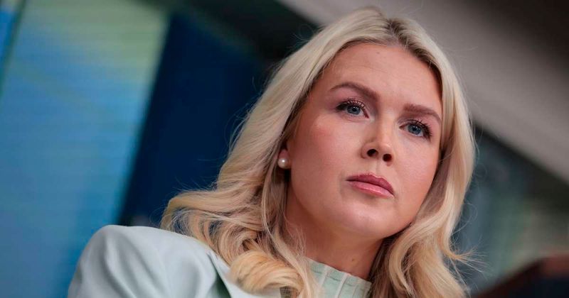 Karoline Leavitt blasts Raskin as 'zero credibility', calls MS NOW coverage 'left-wing propaganda'