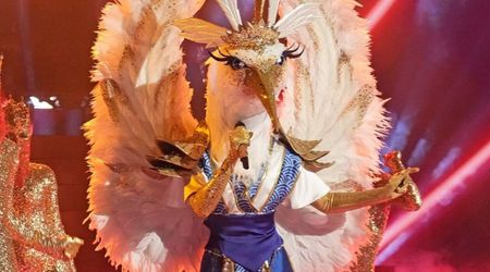 Who is Crane on ‘The Masked Singer’? Season 14 finalist sparks Taylor Swift rumors with one major clue