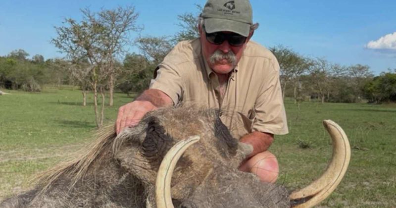 Millionaire big-game hunter killed after being trampled by elephant herd during $40K expedition 