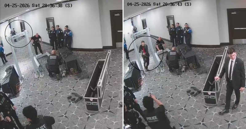 Video shows K9 alert Secret Service before Cole Allen breaches WHCD security, triggers shooting attempt