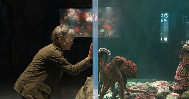 Where was Remarkably Bright Creatures filmed? All filming locations revealed
