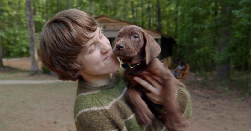  'Scooby-Doo: Origins’ reveals first look at Netflix's live-action Scooby and it's not what we expected