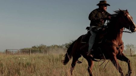 ‘Dutton Ranch’ taps ‘SEAL Team’ creator as Season 2 showrunner after Chad Feehan’s exit
