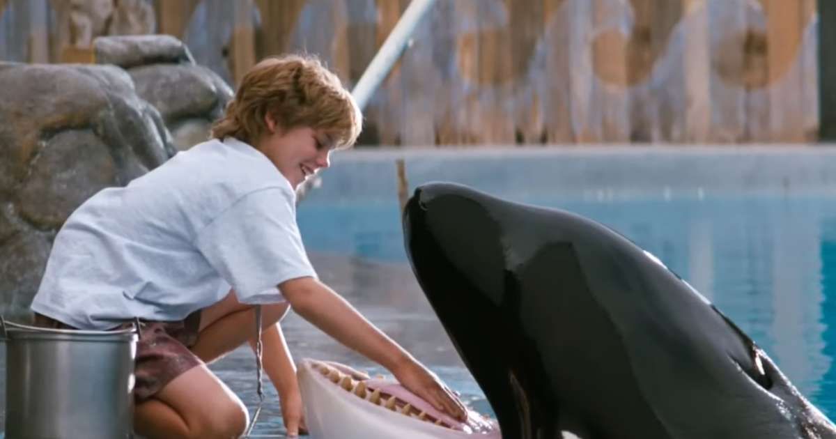 'Free Willy' reimagining in the works at Warner Bros. — what we know so far about the beloved '90s classic