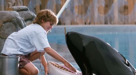 'Free Willy' reimagining in the works at Warner Bros. — what we know so far about the beloved '90s classic