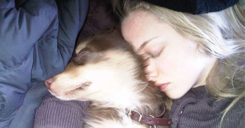 Amanda Seyfried mourns loss of dog Finn with emotional tribute: 'This one's forever and ever'