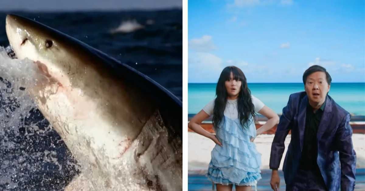 Where to watch 'Shark Week' 2026? Release time, date and full lineup
