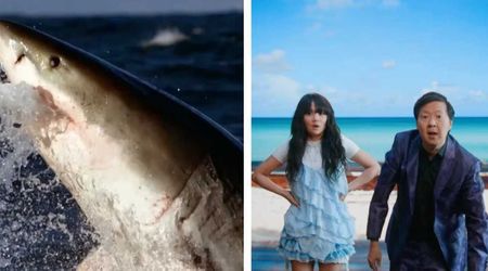 Where to watch 'Shark Week' 2026? Release time, date and full lineup