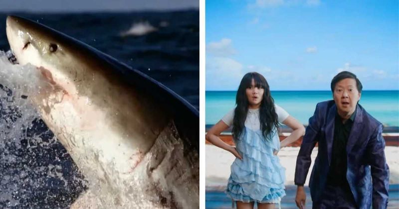 Where to watch 'Shark Week' 2026? Release time, date and full lineup