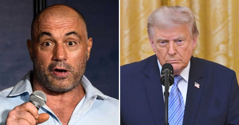 'Imagine if it blew up': Joe Rogan in disbelief over Trump using press as decoys in plane switch