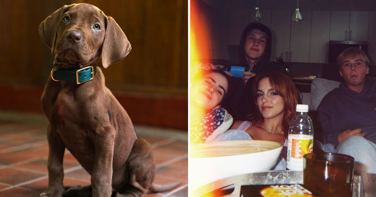 Pictures from ‘Scooby-Doo: Origins’ (Image Source: Netflix’s Tudum)
