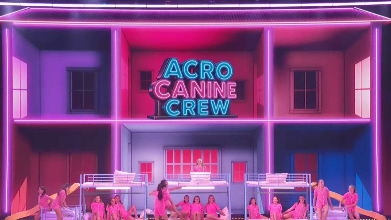 A still of Acro Canine Crew's performance in AGT