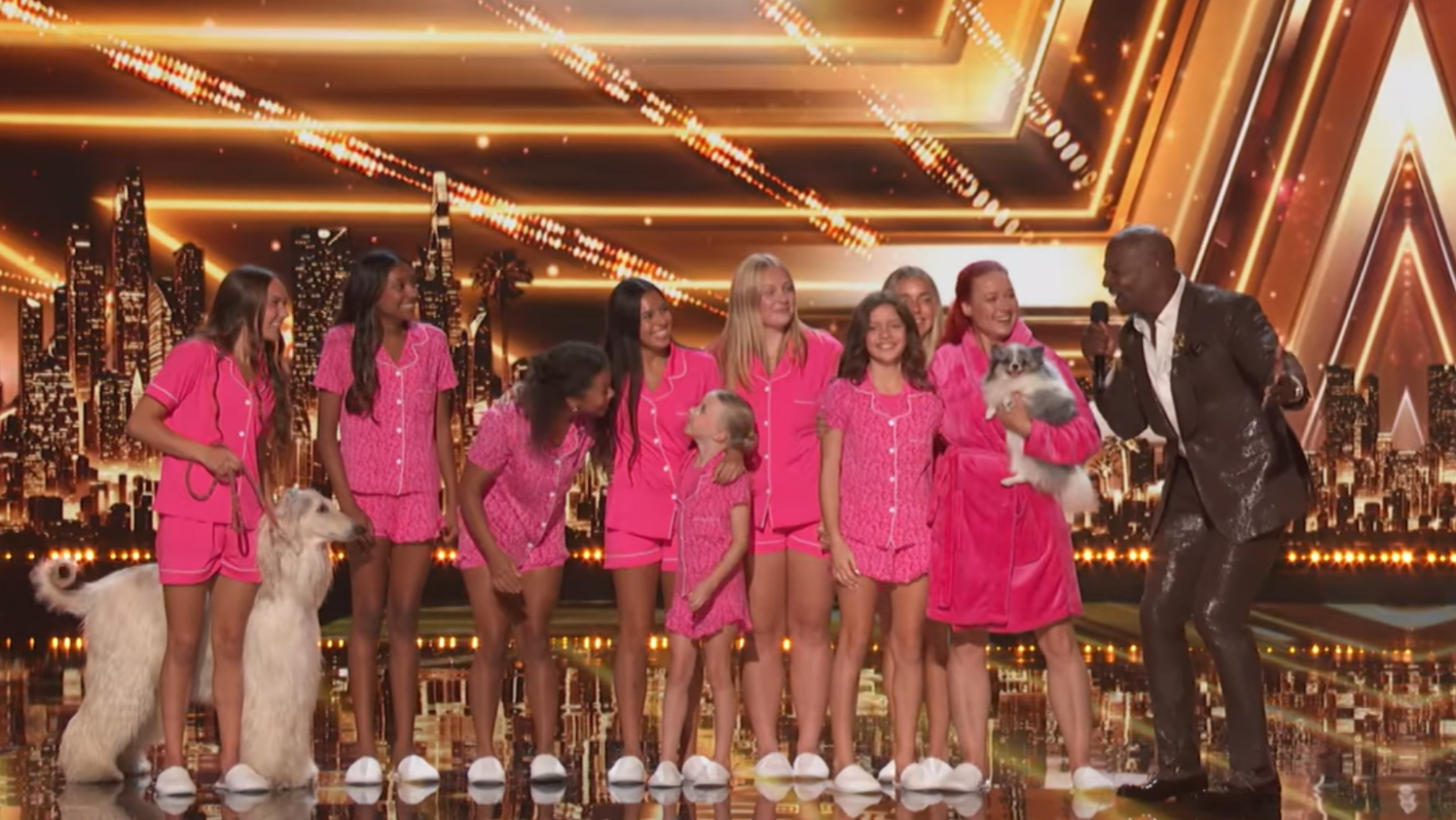 'Acro Canine Crew' in a still from AGT