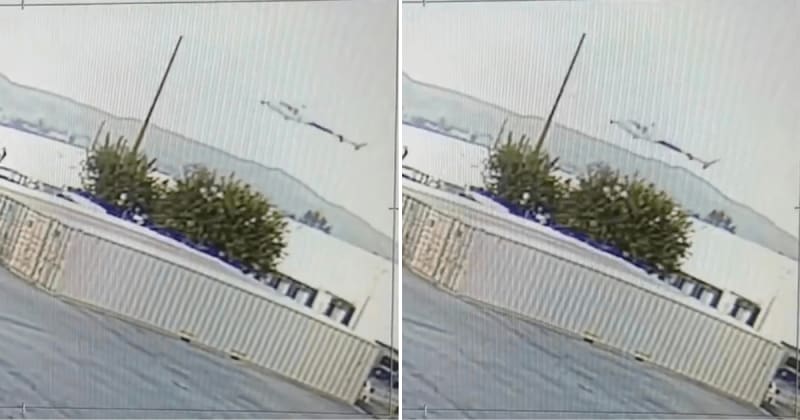 New footage captures NBC4 helicopter’s final moments before deadly Los Angeles crash