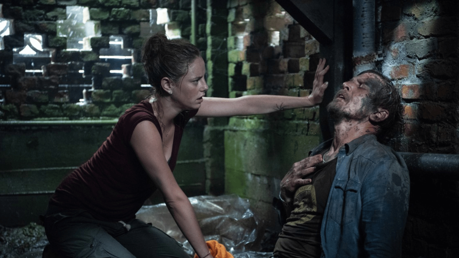 A still of Haley and Dave from 'Crawl'