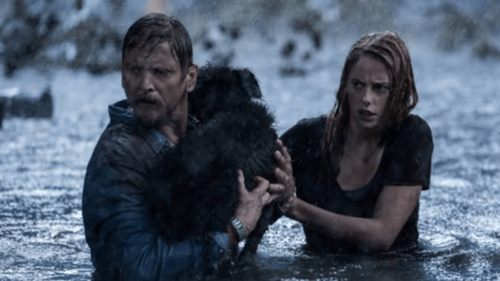 A still of Haley and Dave from 'Crawl'