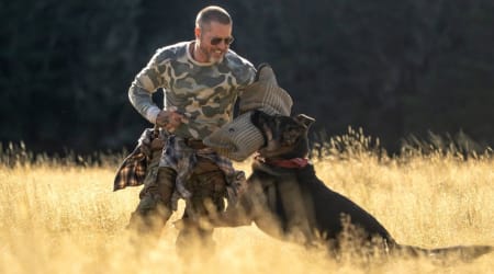 Does Odin die? ‘The Heart of the Beast’ ending explained as Brad Pitt’s James fights to survive