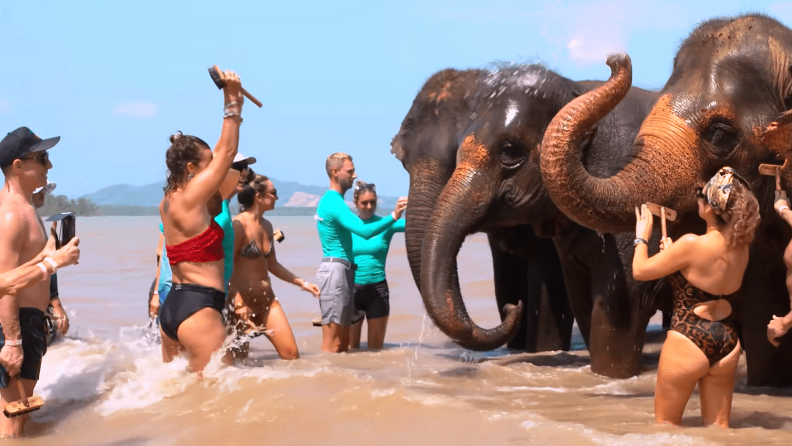 The crew and charter guests join an elephant excursion during 'Below Deck' Season 13 (Image Source: Bravo)