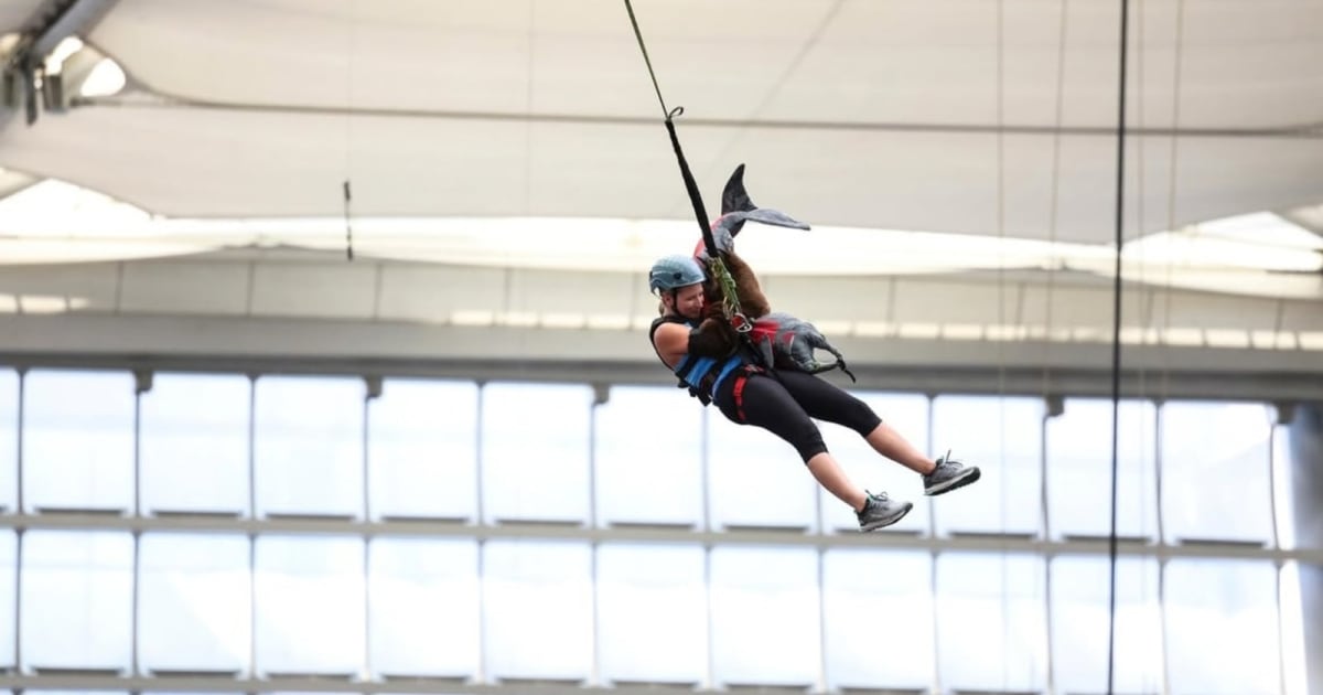 What is an Express Pass on ‘The Amazing Race’? Season 39 twist explained