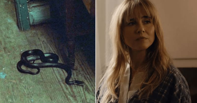 ‘Crystal Lake’ changes a controversial ‘Friday the 13th’ scene as creator says ‘no animals were harmed’